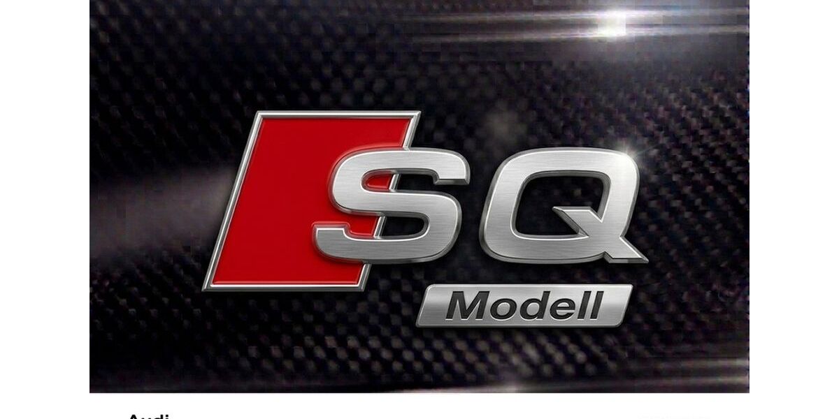 Audi SQ5 56.157 km 52.223 &euro; Dortmund 44143