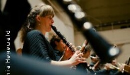 8. Philharmonisches Konzert